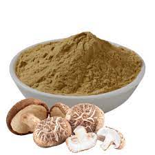 Fresh  Mushroom Powder